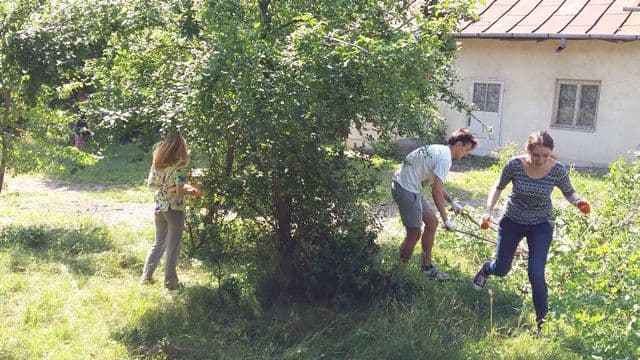activitati in Botosani si Agafton 14