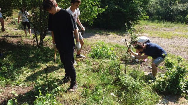 activitati in Botosani si Agafton 15