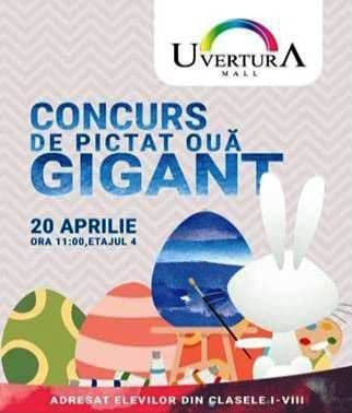 Concurs Uvertura Mall