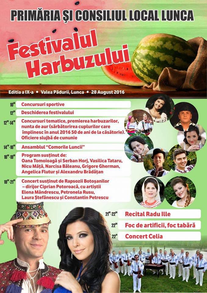afis-festival