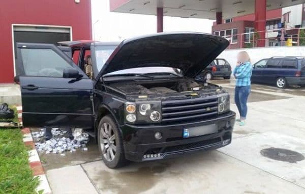 rover tigari