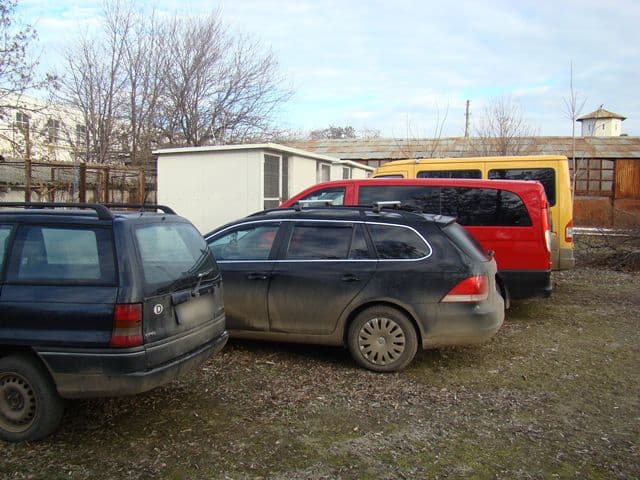 Perchzitii_6