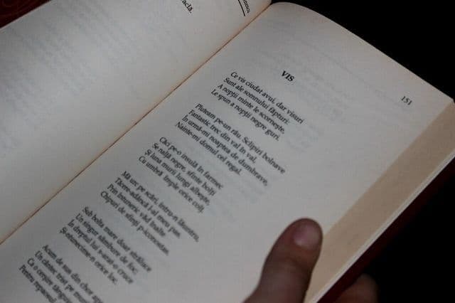 scoala Ioan Murariu Cristinesti (9)