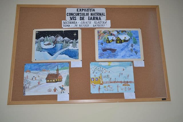 Vis de iarna Sighet_3