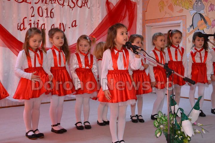 Dorohoi-Fir de martisor 05