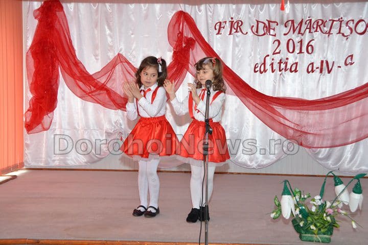 Dorohoi-Fir de martisor 18