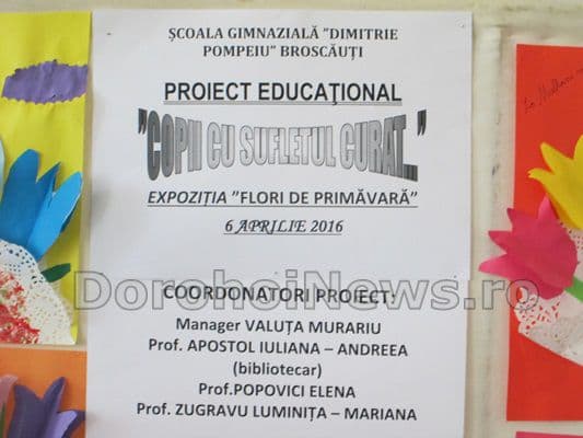 flori de primavara 03