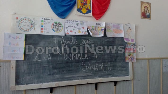 Colegiul National Grigore Ghica Dorohoi 13