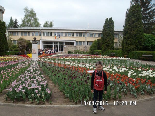 Scolii Gimnaziala Dimitrie Romanescu 06