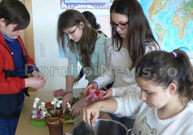 Scoala Cornerstone din Dorohoi 15
