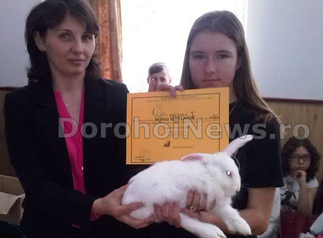 Scoala Hiliseu Horia 02