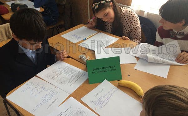 cerc pedagogic Broscauti 12