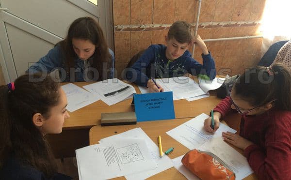 cerc pedagogic Broscauti 13