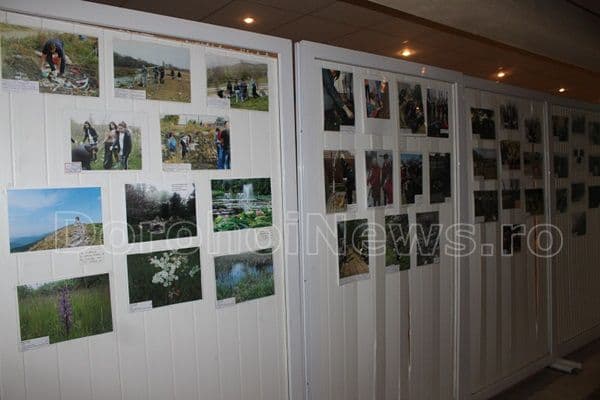 tabara Codrii de Arama Agafton 04