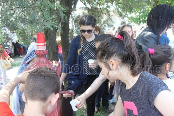 tabara Codrii de Arama Agafton 13