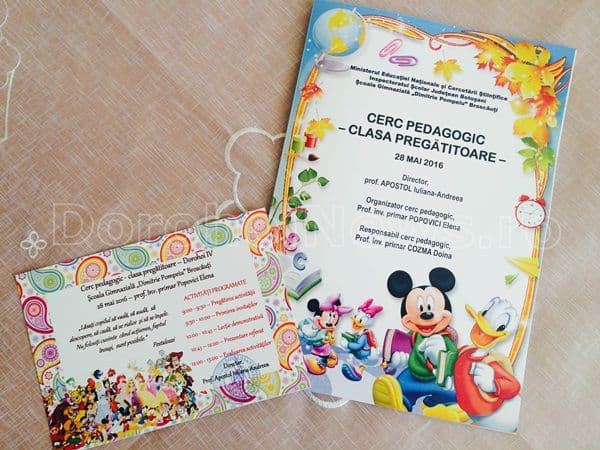 Cerc pedagogic Broscauti 04