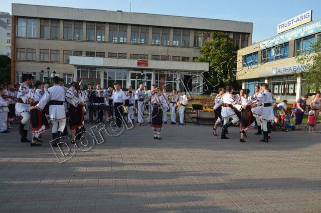 Mugurelul-Margineanca la Calusul Romanesc Slatina_14