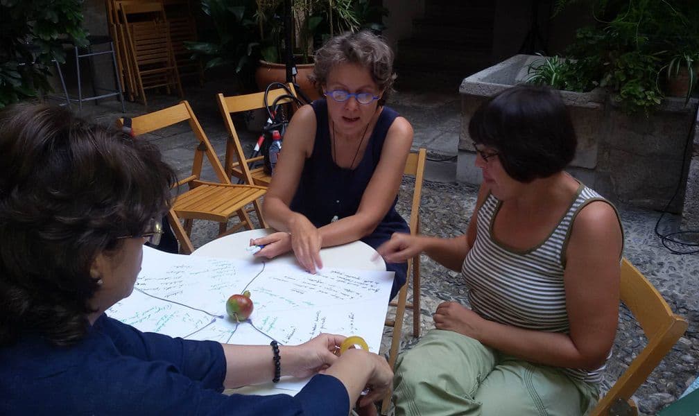 Formare europeană profesori Dorohoi 07
