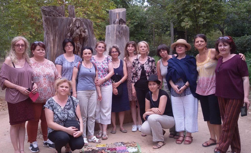 Formare europeană profesori Dorohoi 10
