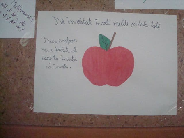 Scoala 1 Dorohoi 009
