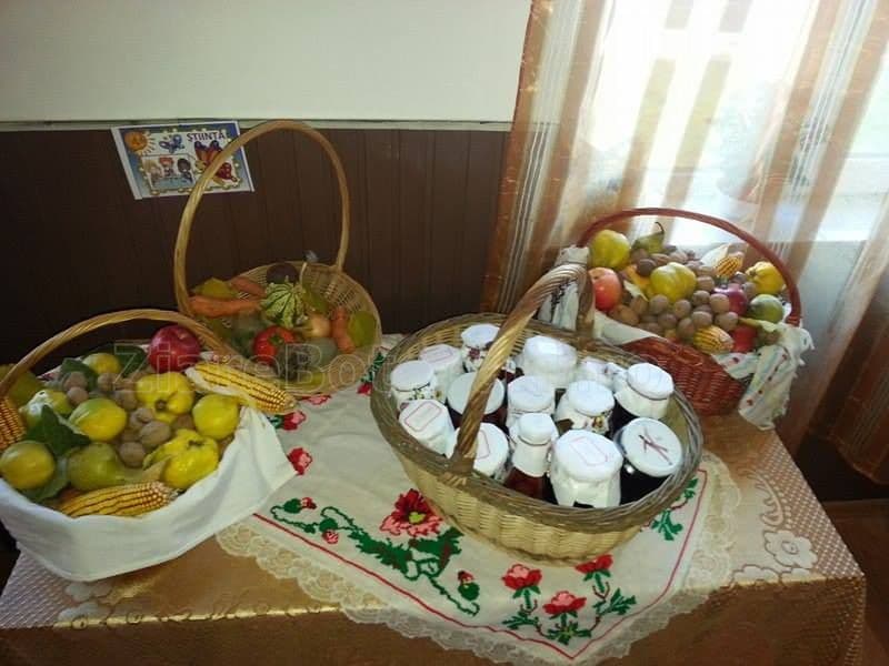 Gradinita Braesti015