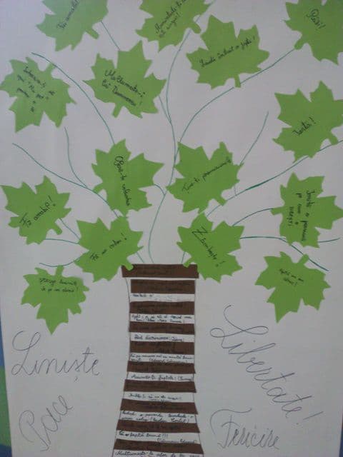 scoala Miorcani (5)