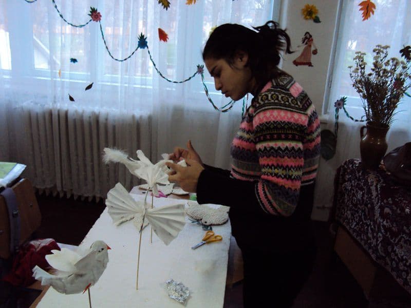 liceul Ion Pillat Dorohoi 004