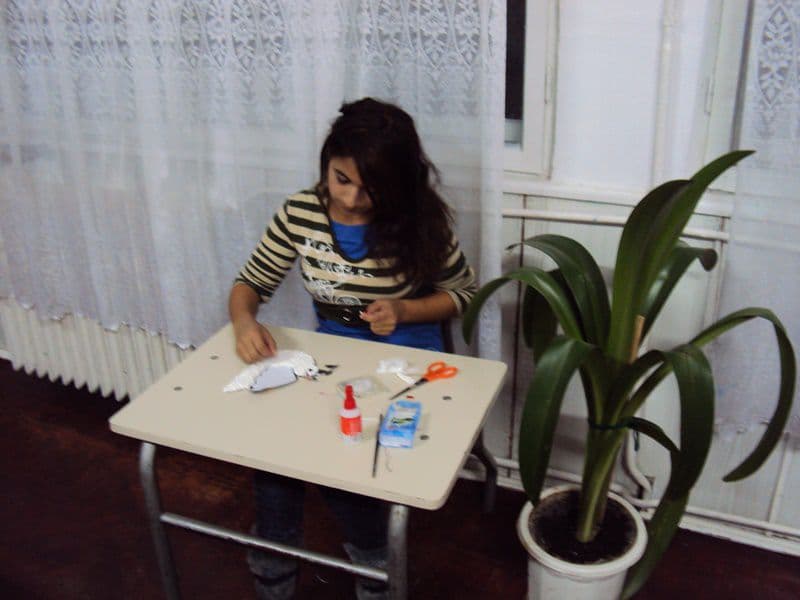 liceul Ion Pillat Dorohoi 001