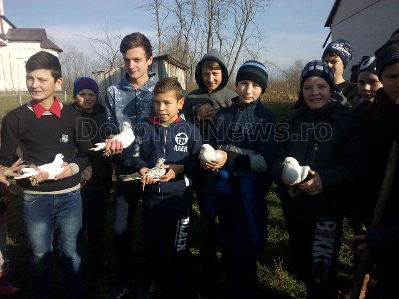 pace copii porumbei Radauti-Prut - Miorcani 003