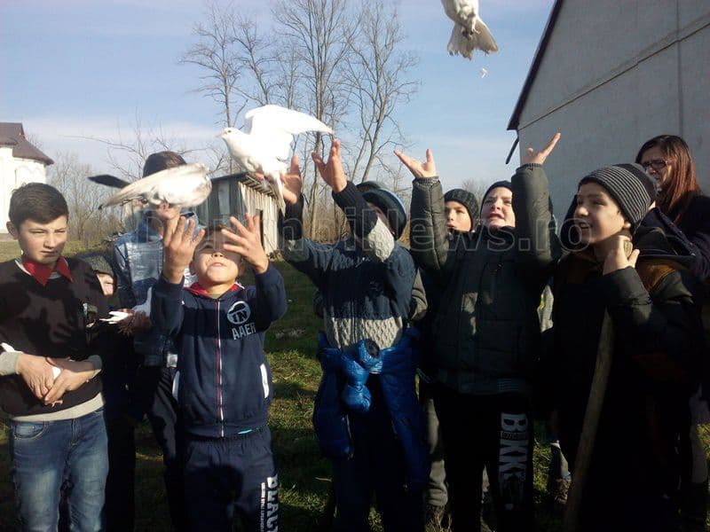pace copii porumbei Radauti-Prut - Miorcani 004
