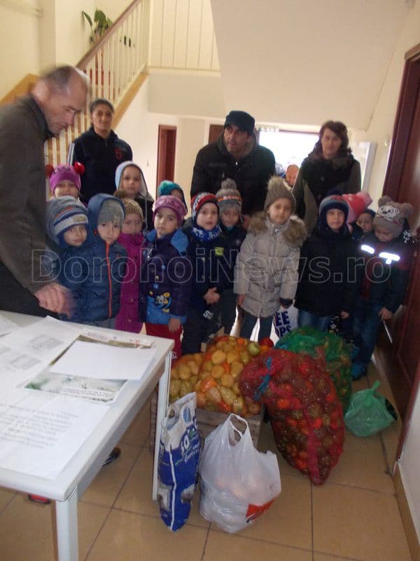 Gradinita Stefan cel Mare si Sfant Dorohoi 004