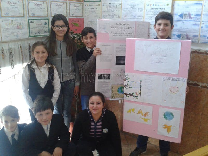 SEG Broscauti010