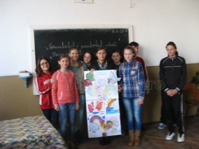 scoala D Romanescu Dorohoi 008