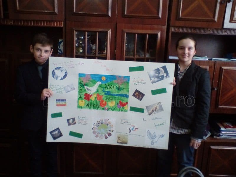 scoala D Romanescu Dorohoi 014