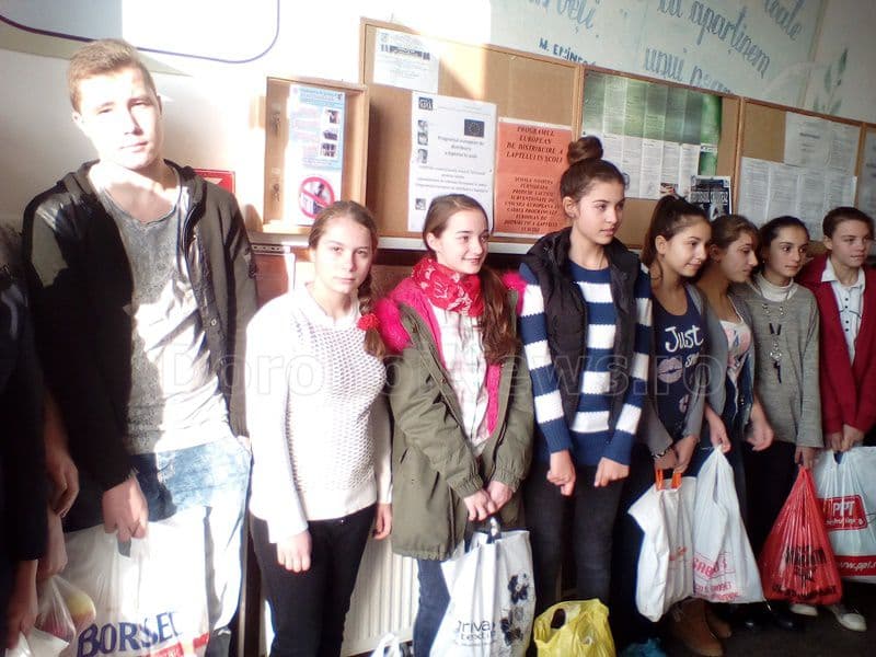scoala D Romanescu Dorohoi 015