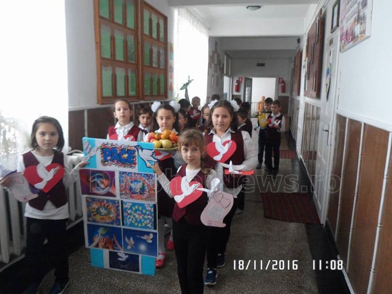 voluntari A I Cuza 004