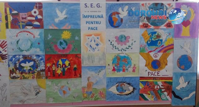 SEG la Kogalniceanu Dorohoi_12