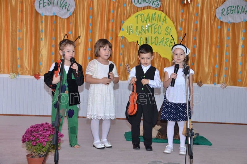 gradinita 8 dorohoi 004