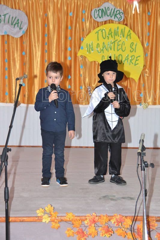 gradinita 8 dorohoi 008