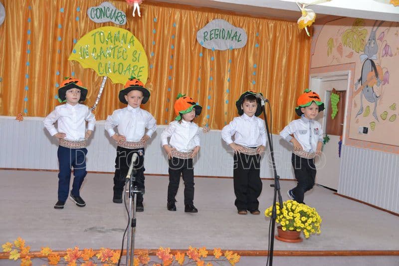 gradinita 8 dorohoi 011