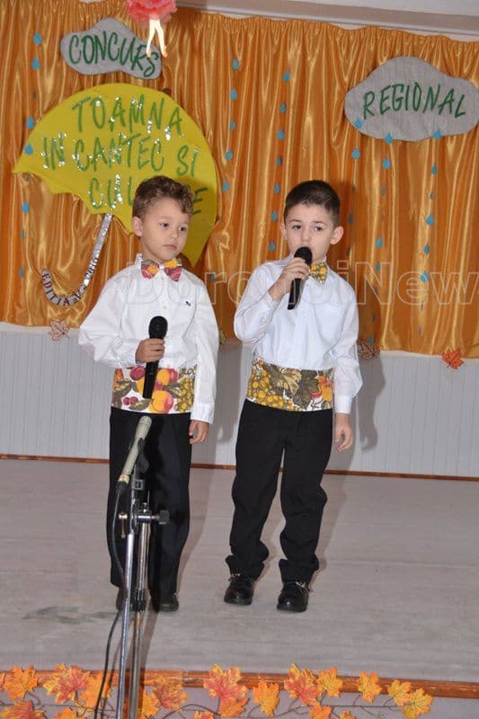 gradinita 8 dorohoi 012