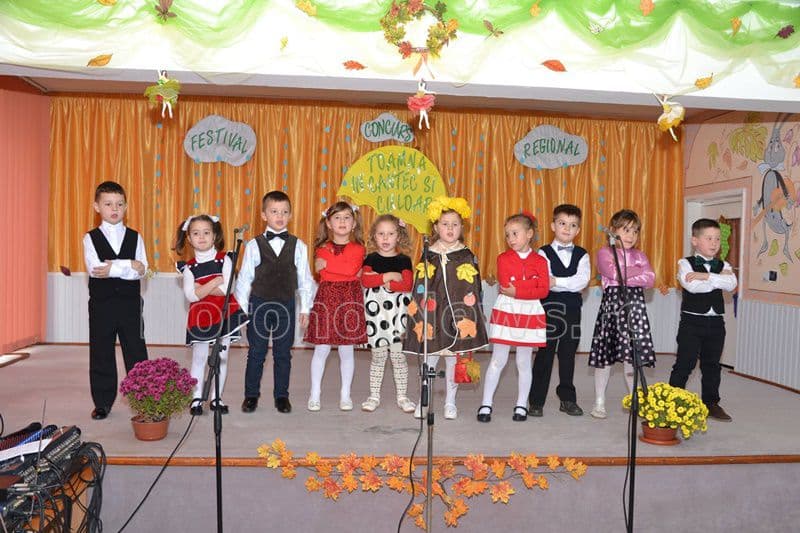 gradinita 8 dorohoi 013