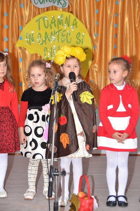 gradinita 8 dorohoi 014