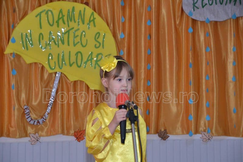 gradinita 8 dorohoi 016