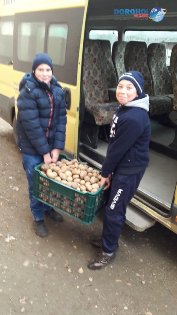 Legume Sendriceni_01