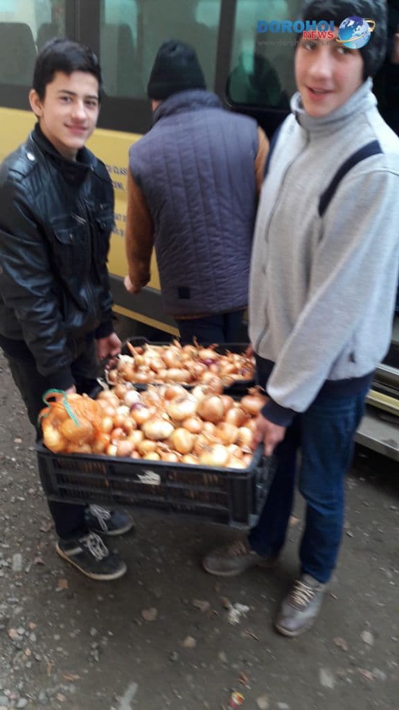 Legume Sendriceni_02