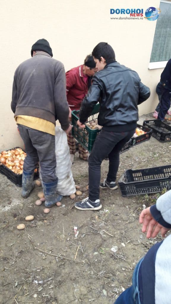 Legume Sendriceni_06