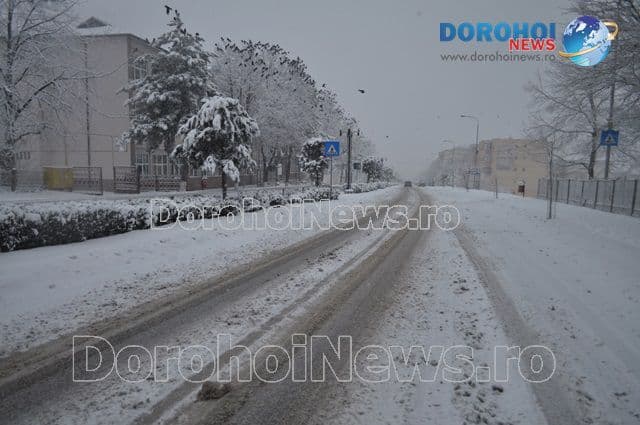 Trafic cu zapada_06