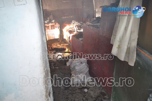 Incendiu padureni_10
