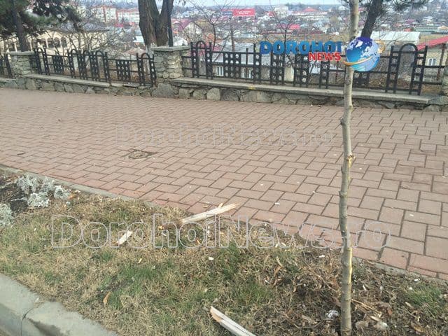 Accident Bulevard Dorohoi_04
